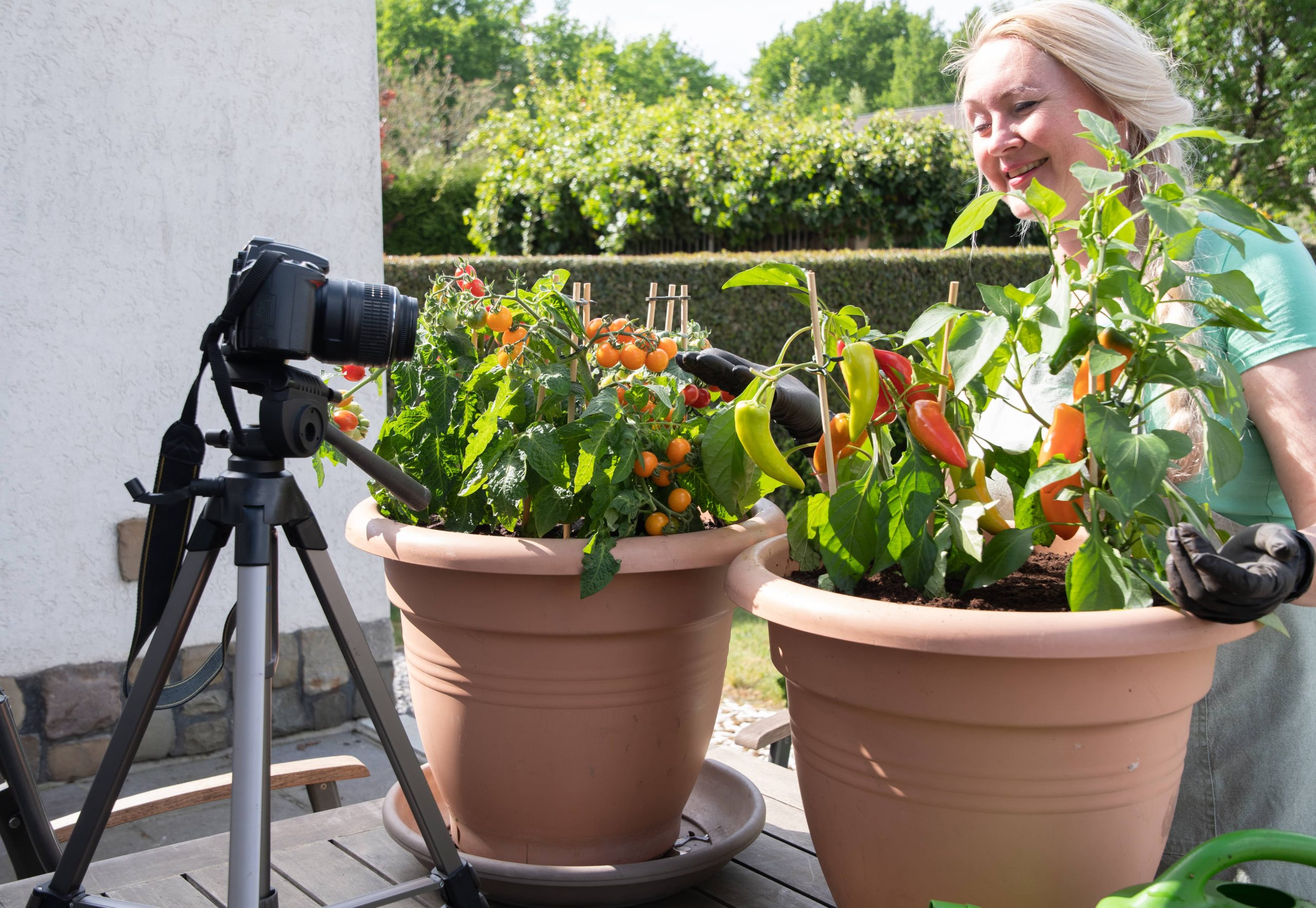 Ein Kräutergarten für frische Aromen anlegen