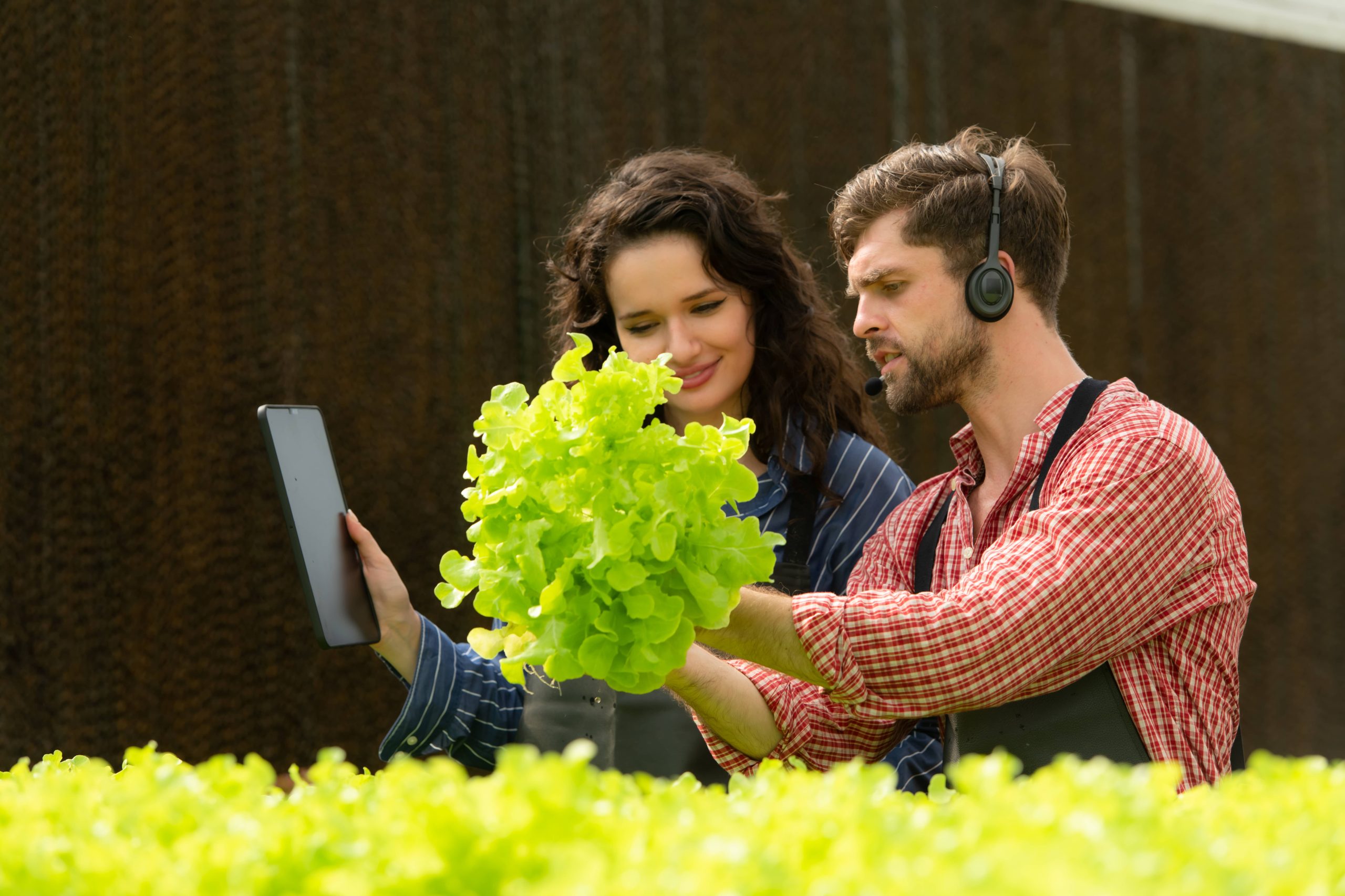 Saisonale Gartentipps zur Erhaltung der Schönheit das ganze Jahr über